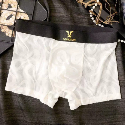 QS Sexy Breathable Mesh Boxer Shorts