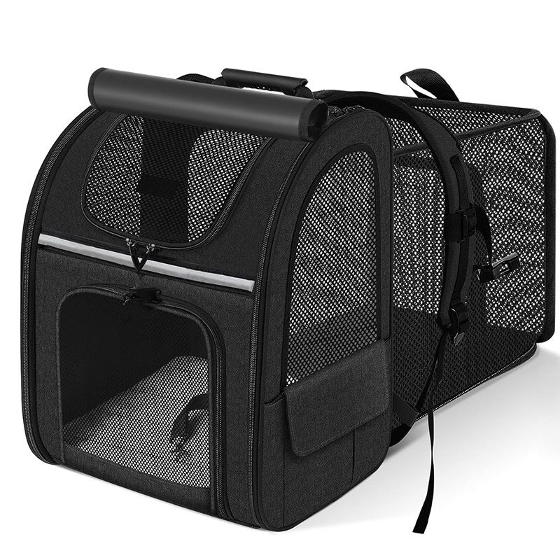 Katzen-Tragerucksack für bequemes Reisen