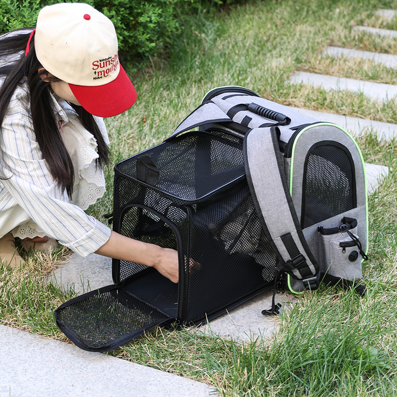 Katzen-Tragerucksack für bequemes Reisen