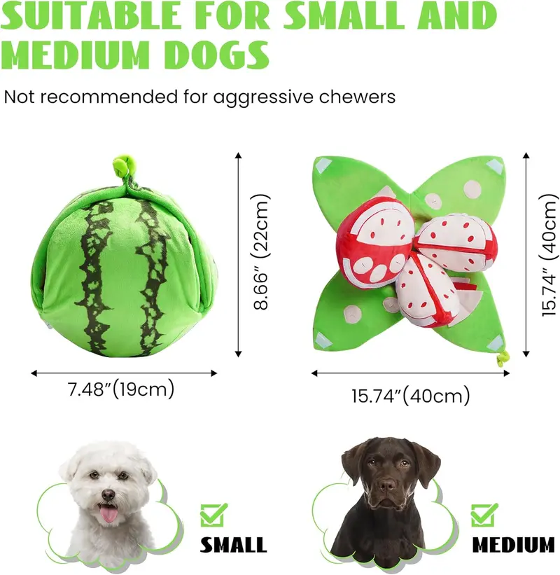 4-in-1 Wassermelonen-Hundespielzeug