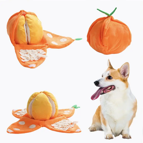 4-in-1 Wassermelonen-Hundespielzeug